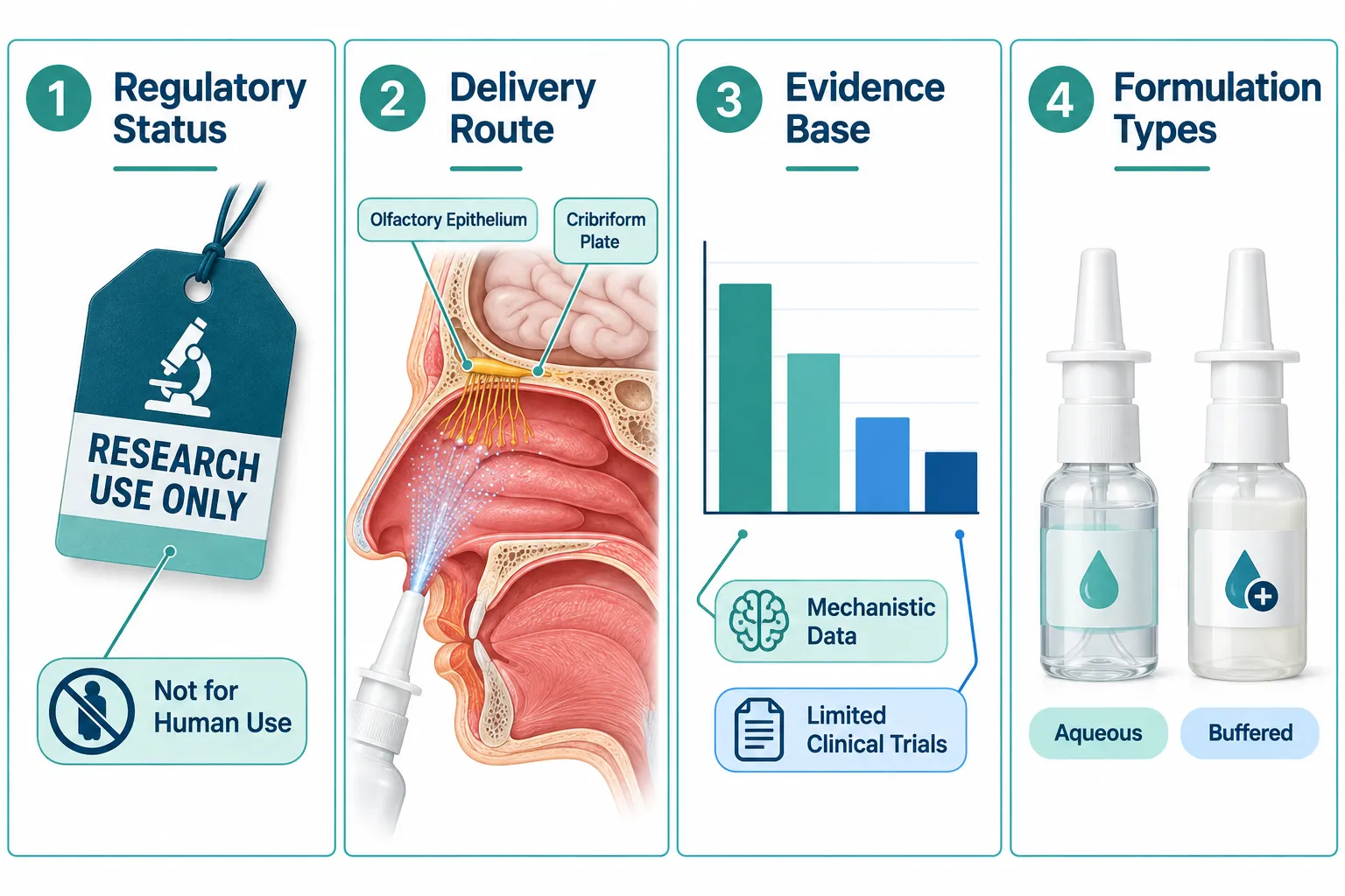 Understanding Semax and Its Research Context