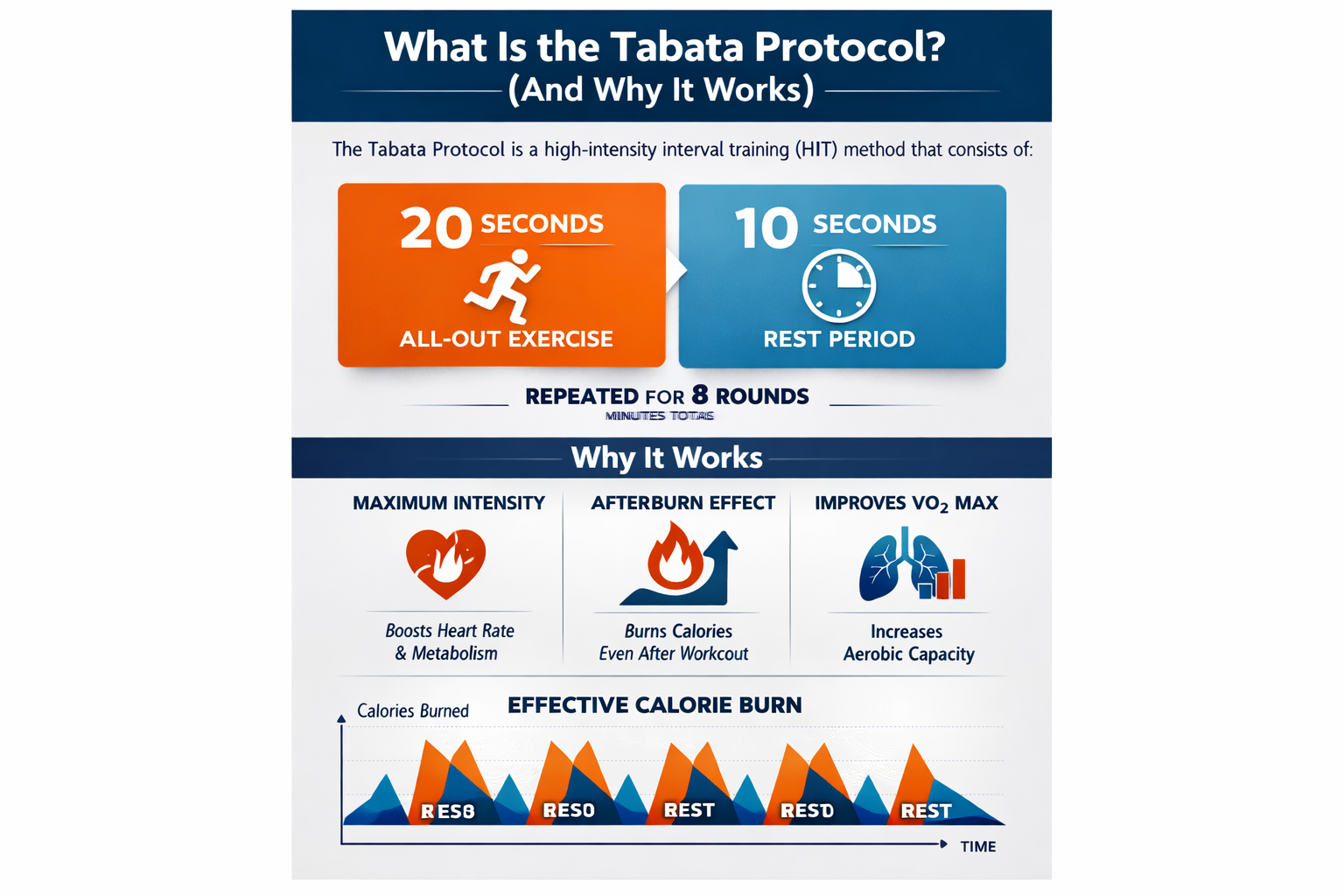 Professional infographic for article "Tabata Workouts at Home: The Complete Guide to 4-Minute Fat-Burning Sessions", section: "What Is the Tabata Protocol? (And Why It Works)". Include relevant icons, data visualization, clean visual hierarchy, modern color scheme, editorial quality.