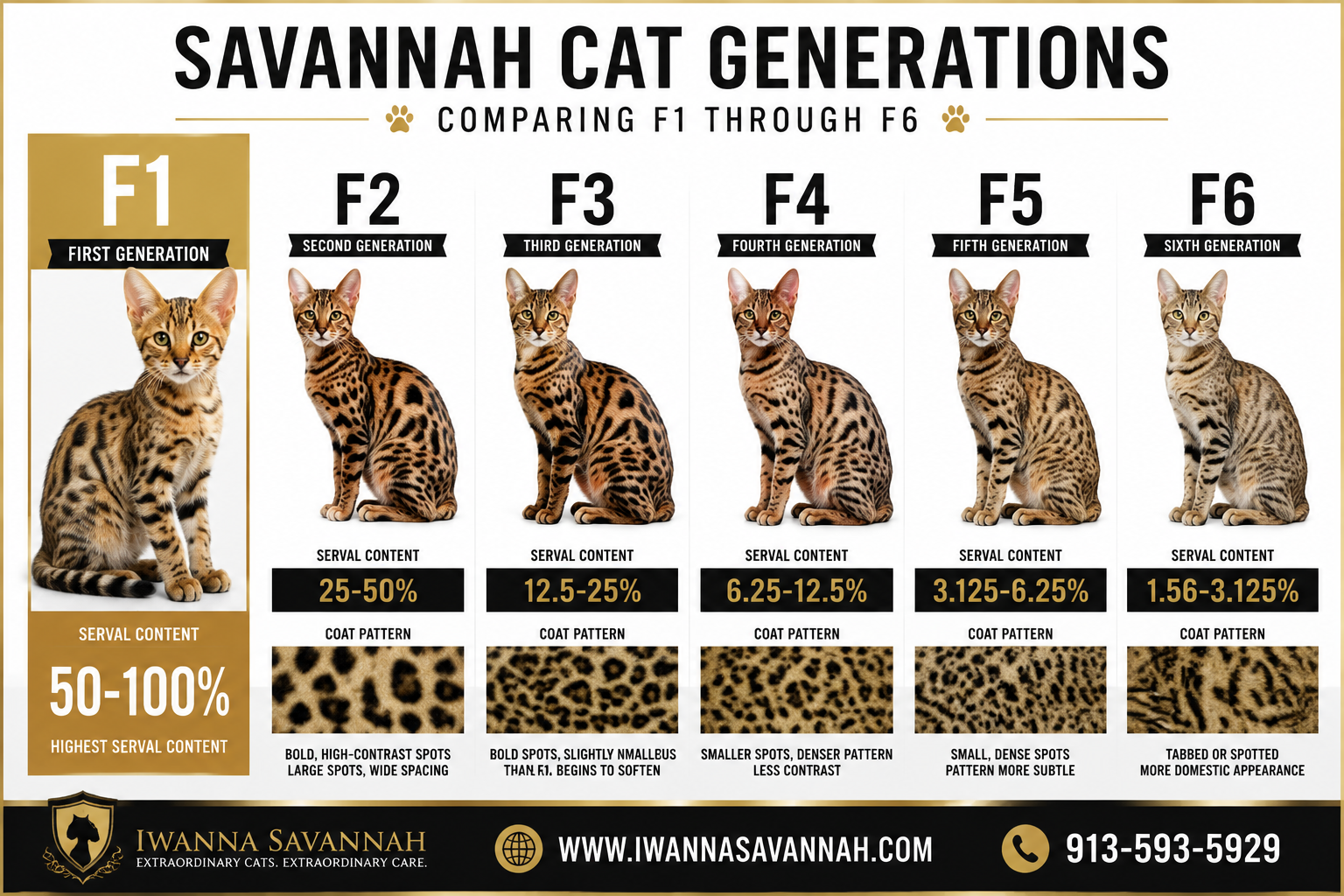 F1 Savannah kittens for sale