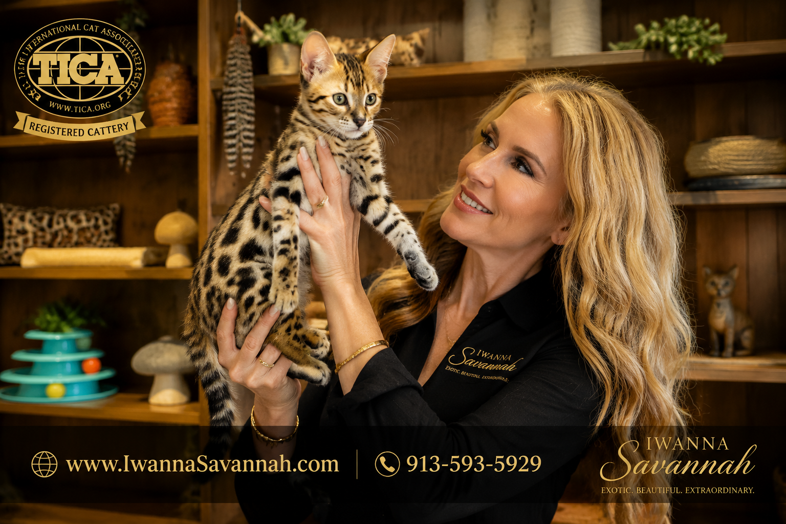 F1 Savannah kitten for sale