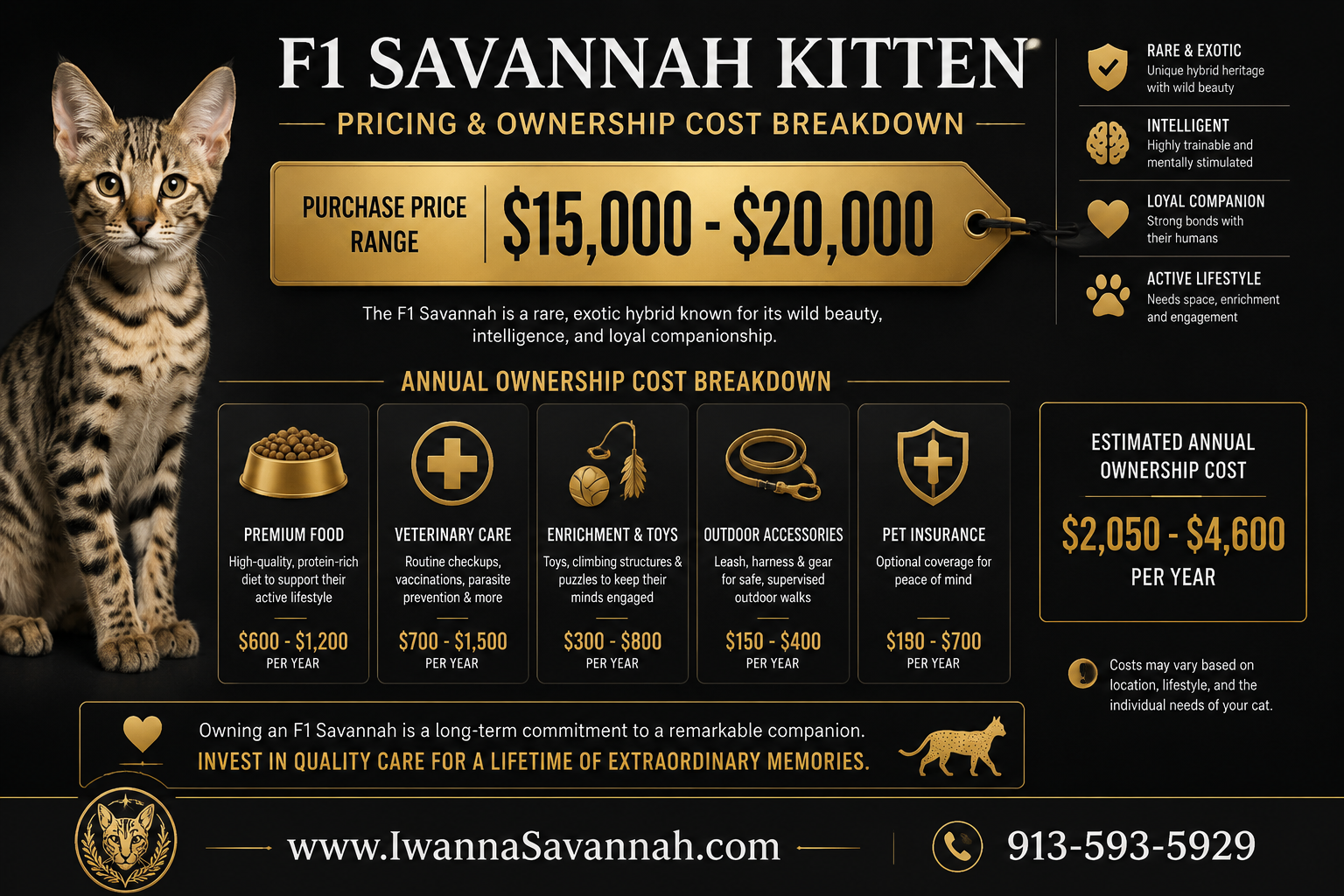 F1 Savannah kitten