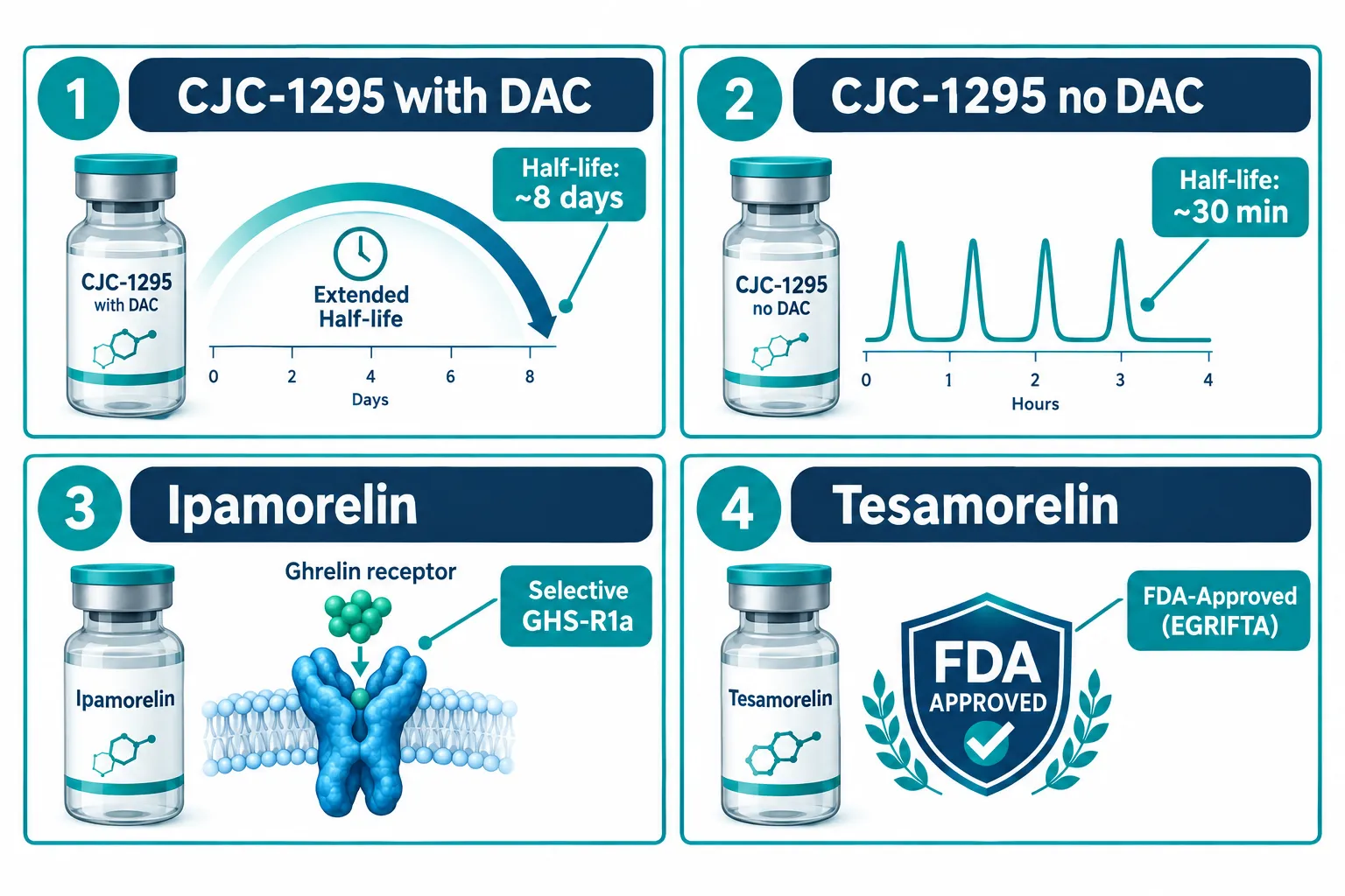 Understanding the Pharmacological Landscape of GH Secretagogue Peptides