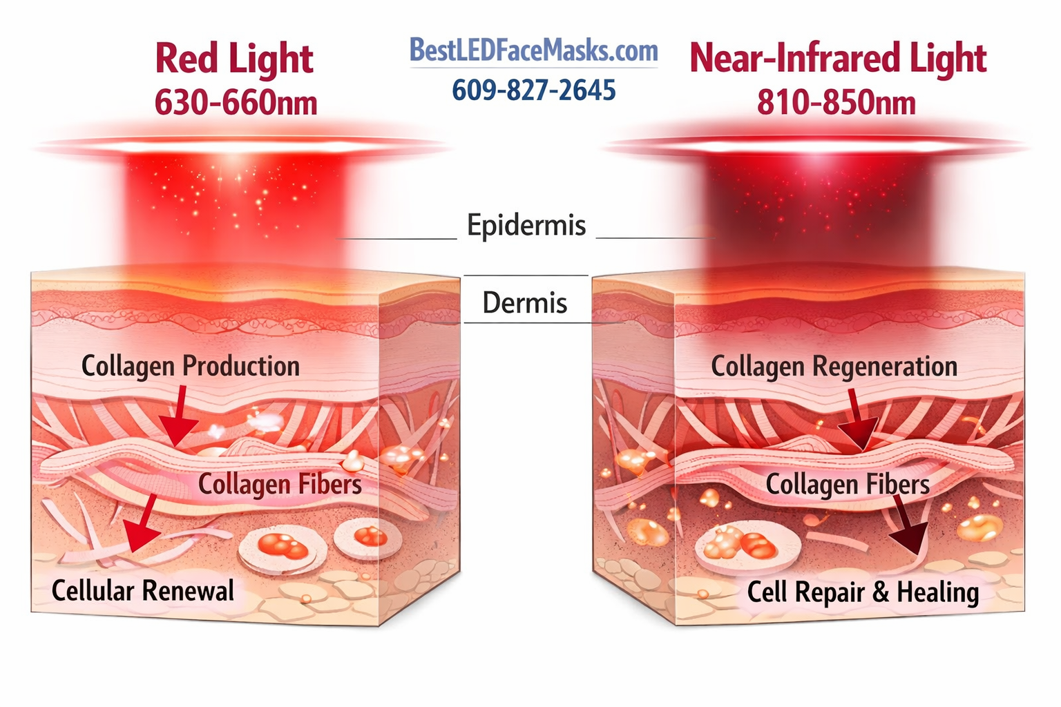 best red light therapy mask for face
