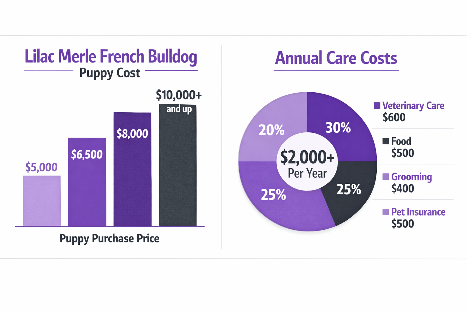 Split comparison infographic showing price breakdown table for lilac merle French Bulldog ownership costs β puppy purchase