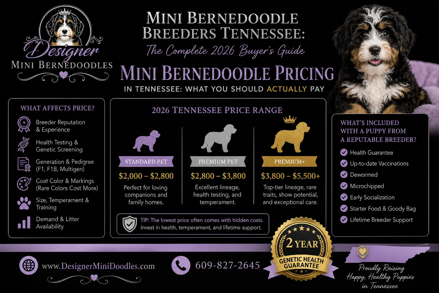Reputable Mini Bernedoodle Breeder in Tennessee
