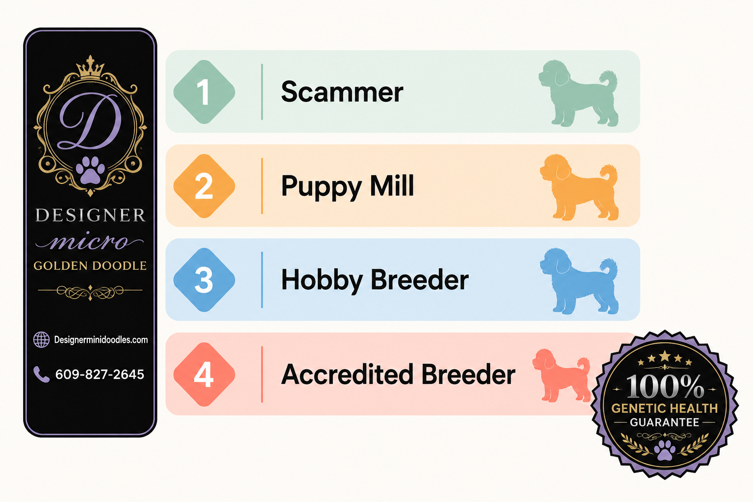 How Much Do Micro Goldendoodle Puppies Cost?