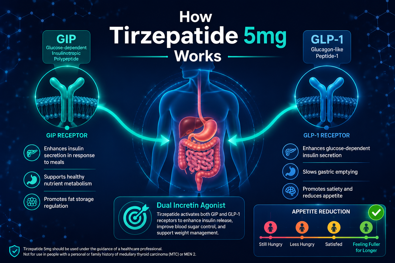 Detailed () infographic-style illustration showing a dual-hormone mechanism diagram: two receptor icons labeled GIP and