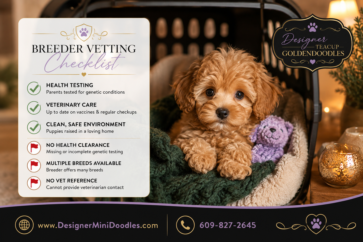 Teacup Goldendoodle Breeders