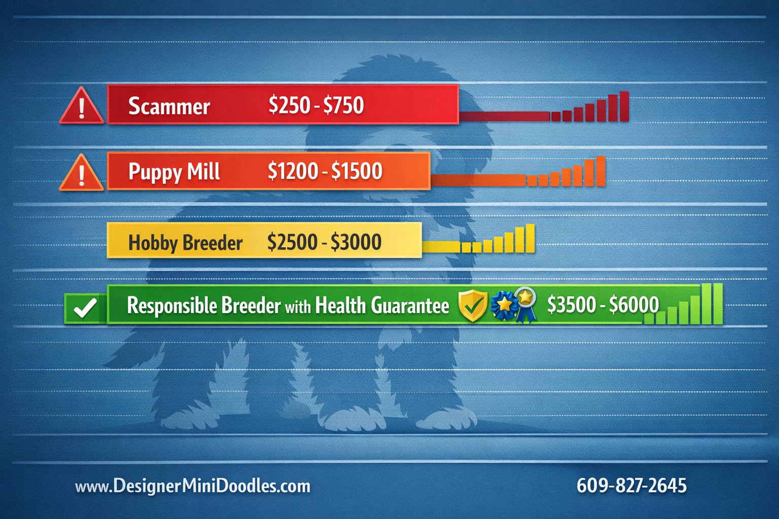 miniature bernedoodle price guide