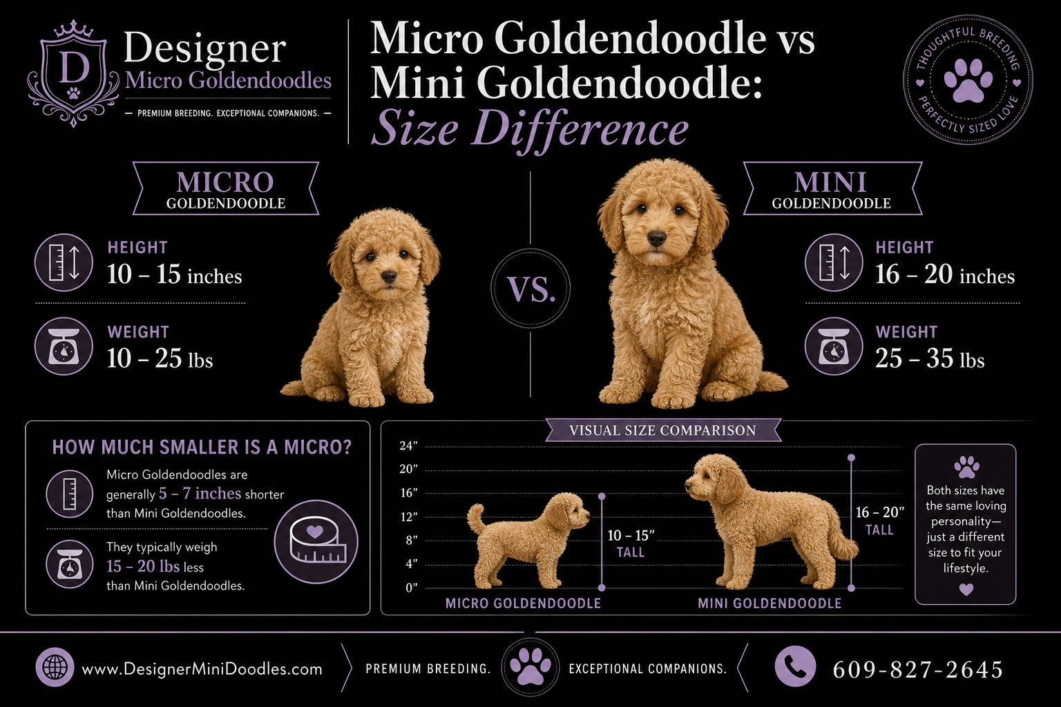 Micro Goldendoodle Puppies Price in Birmingham