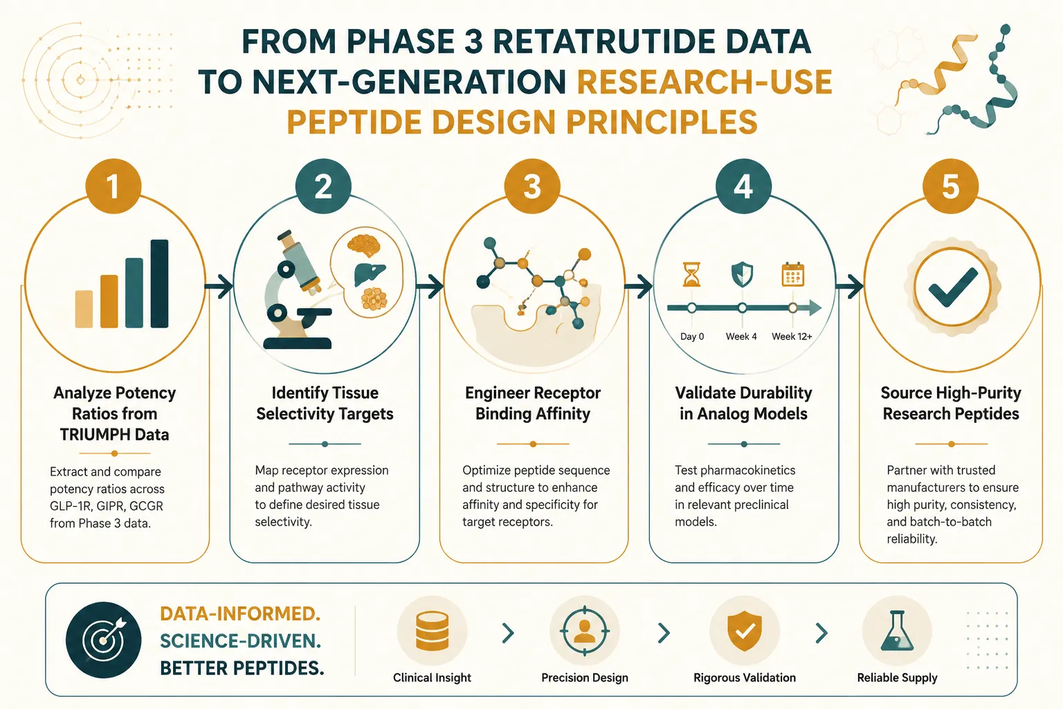 Implications for Research-Use Peptide Design: Potency Ratios, Durability, and Tissue Selectivity
