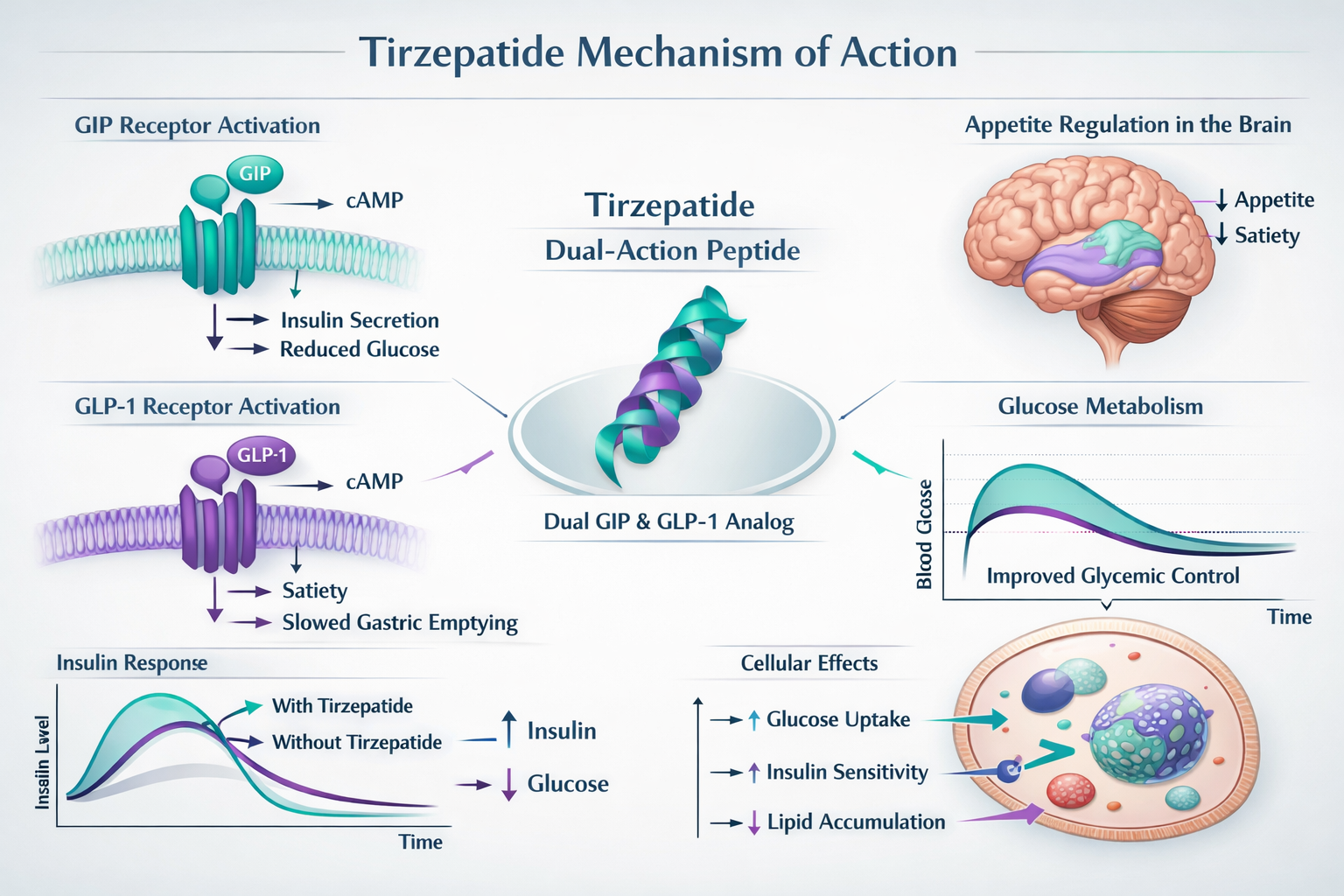 tirzepatide weight loss results