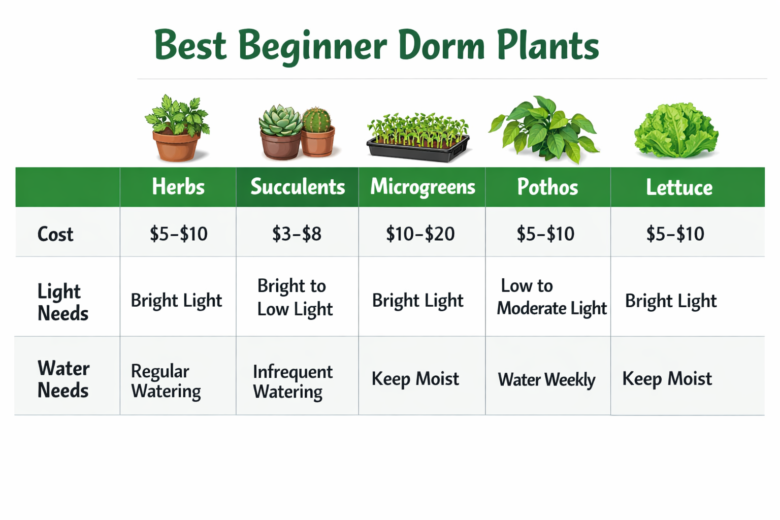 () infographic-style image showing a simple comparison table of 5 best beginner dorm plants (herbs, succulents, microgreens,