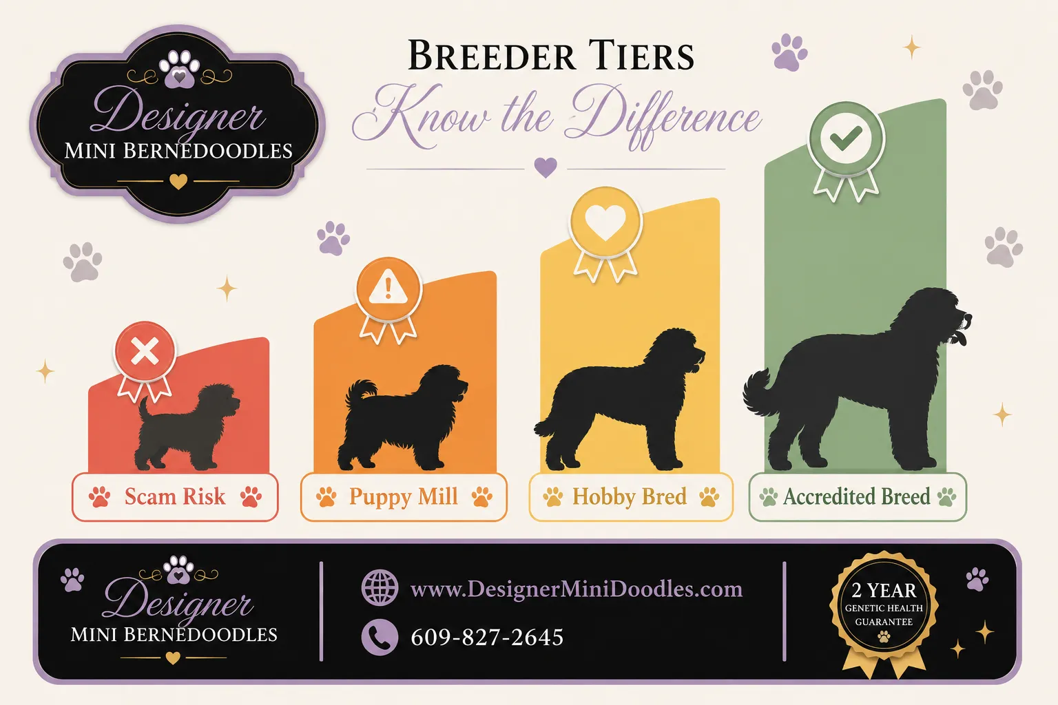mini bernedoodle breeders San Francisco