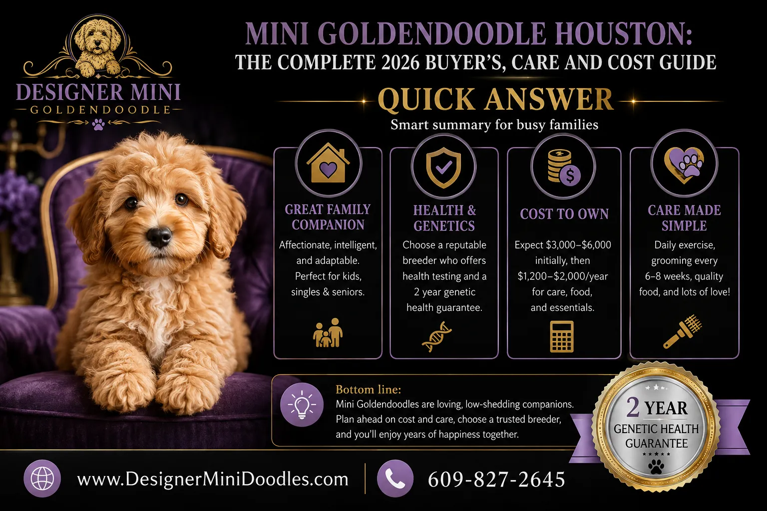 mini goldendoodle Houston