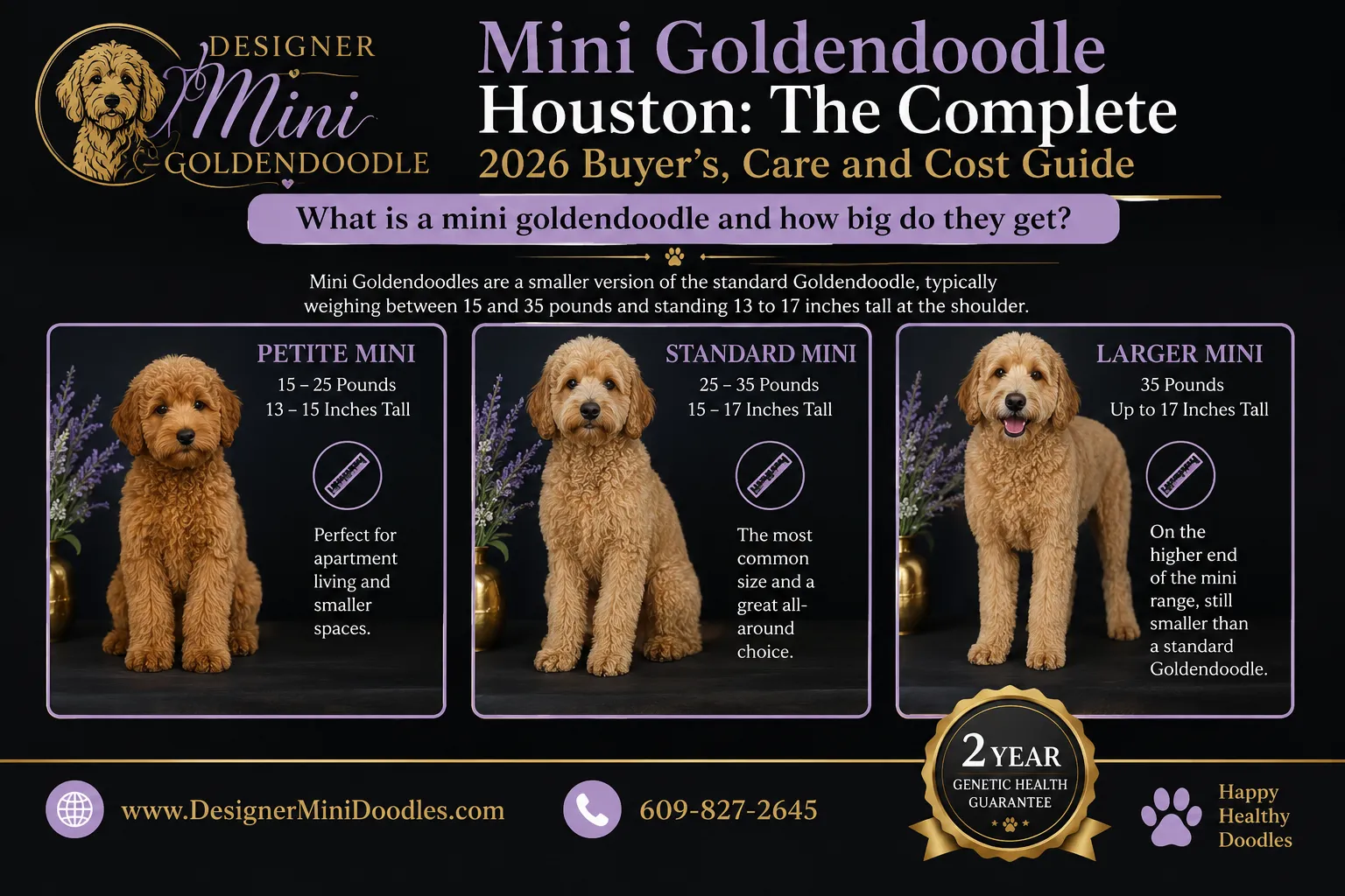 Mini goldendoodle vs mini labradoodle, and vs standard goldendoodle: which should I get?