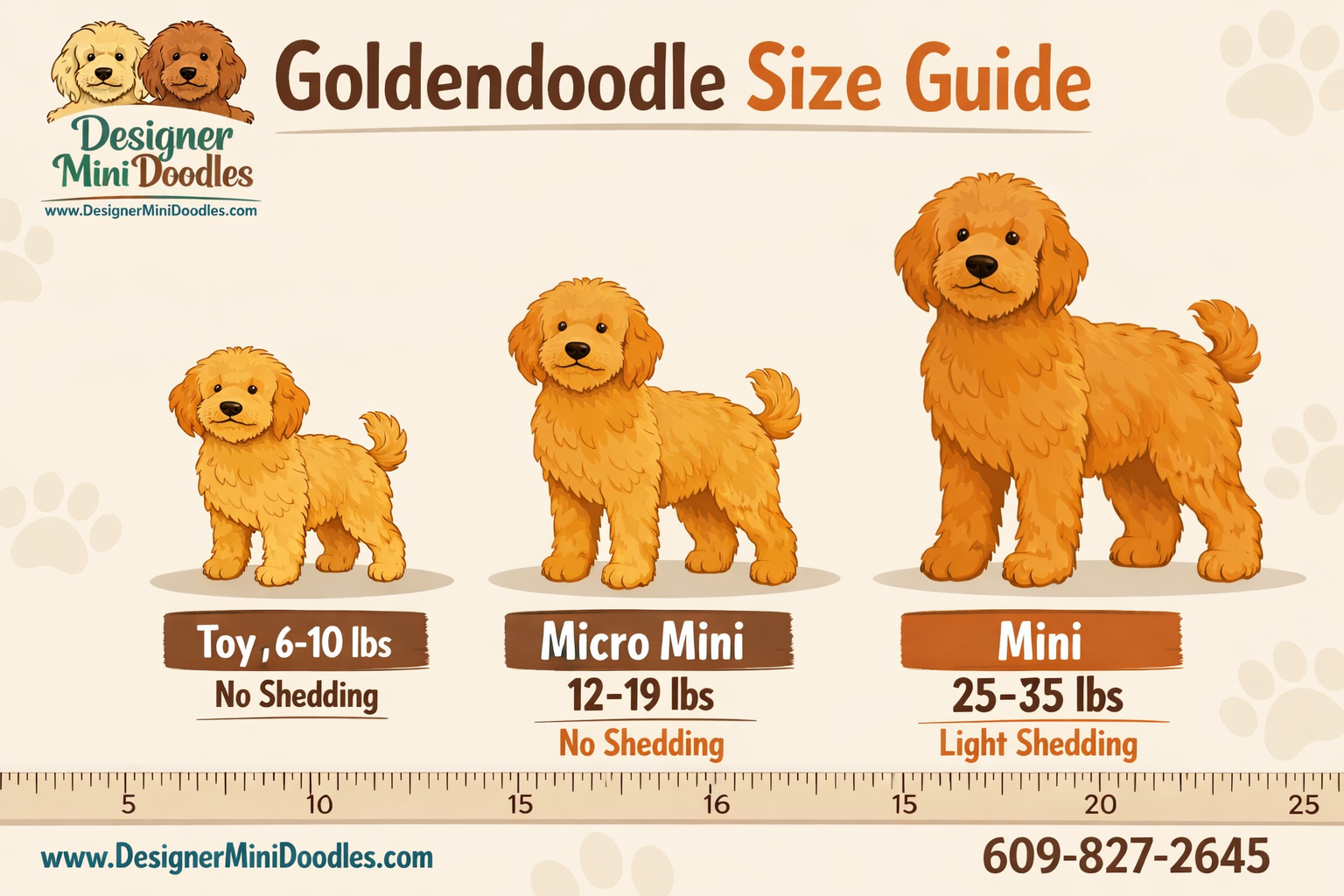 goldendoodle sizes