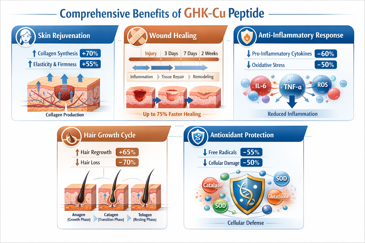 Comprehensive benefits chart showing multiple application areas of GHK-Cu peptide: skin rejuvenation section with collagen synthesis arrows,
