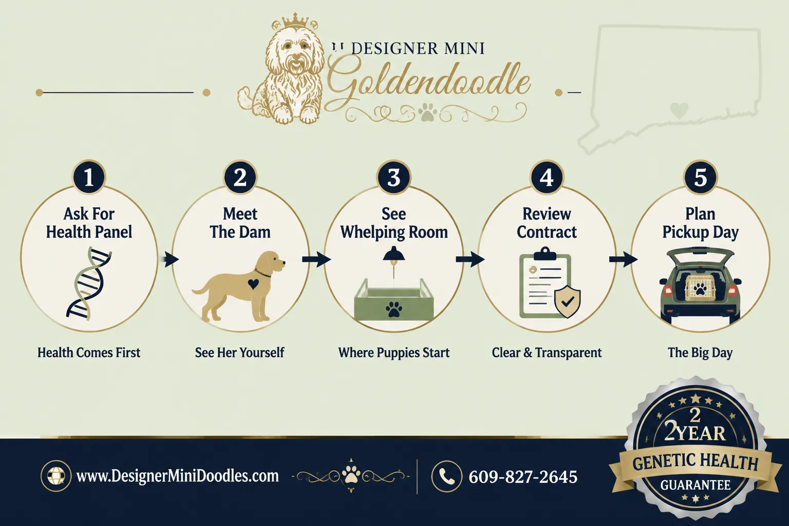 Mini Goldendoodle Breeders Connecticut
