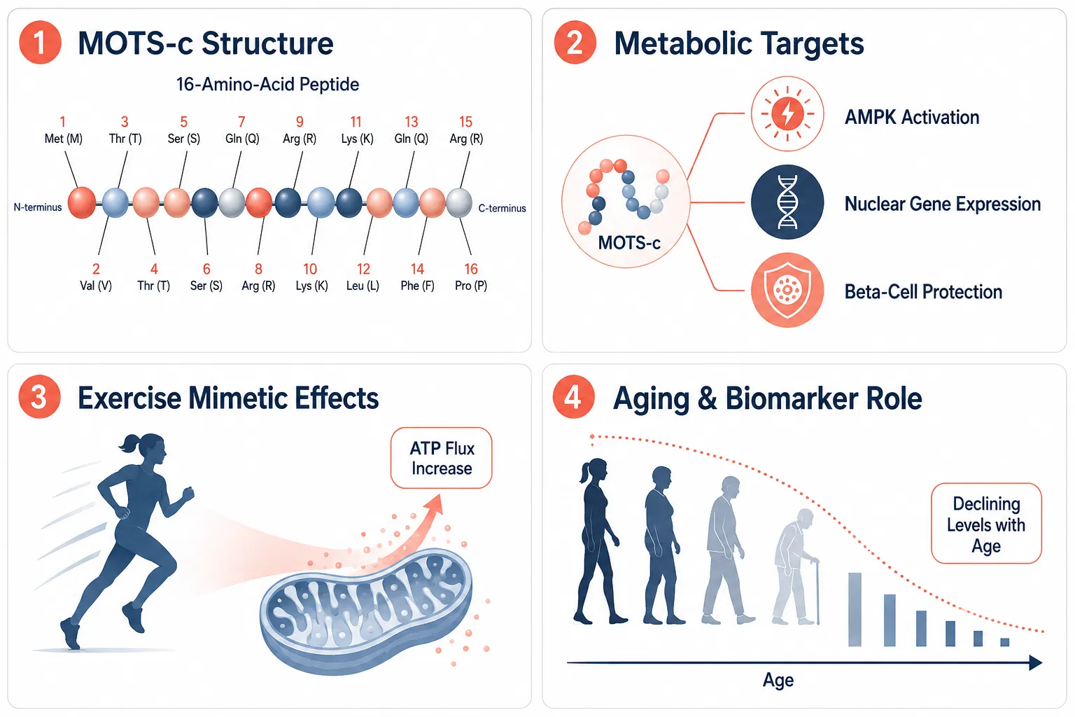 MOTS-c: A Mitochondrial-Encoded Peptide That Speaks to the Nucleus