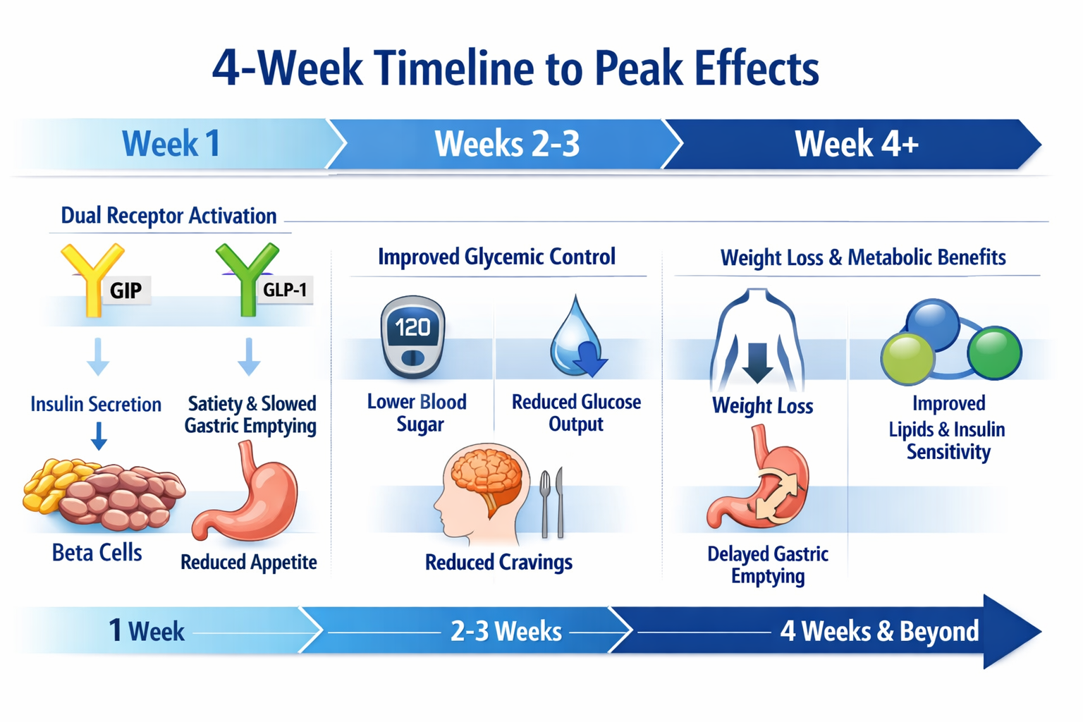 how long does tirzepatide take to work