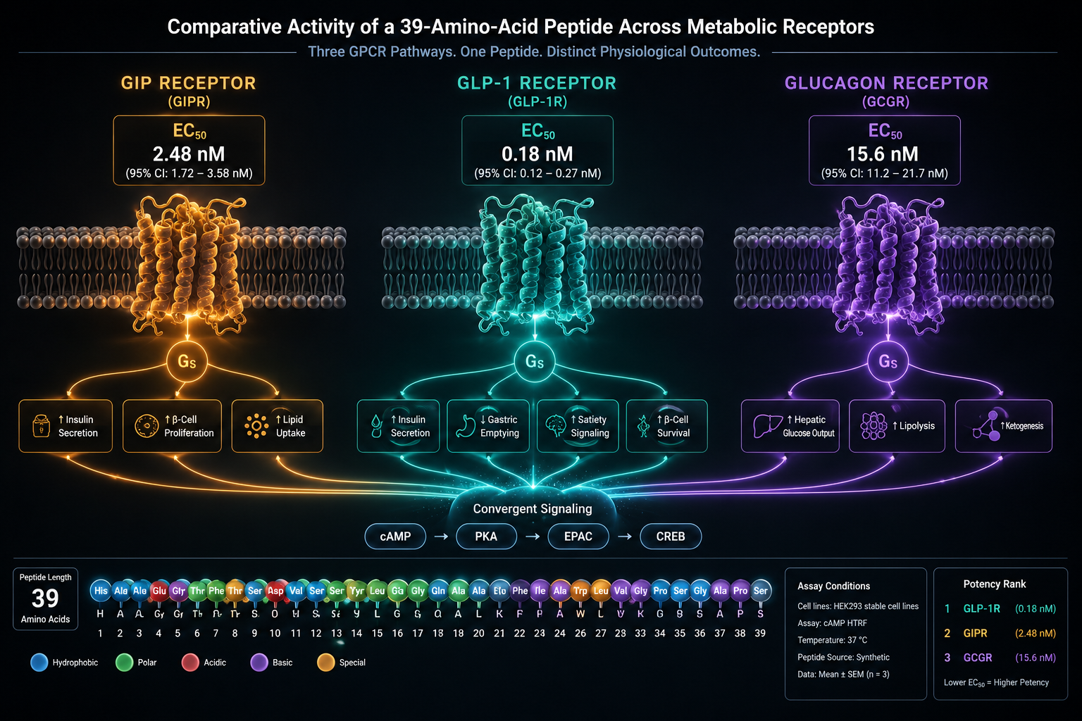 () scientific infographic showing a side-by-side molecular comparison of three peptide receptor pathways: GIP receptor node