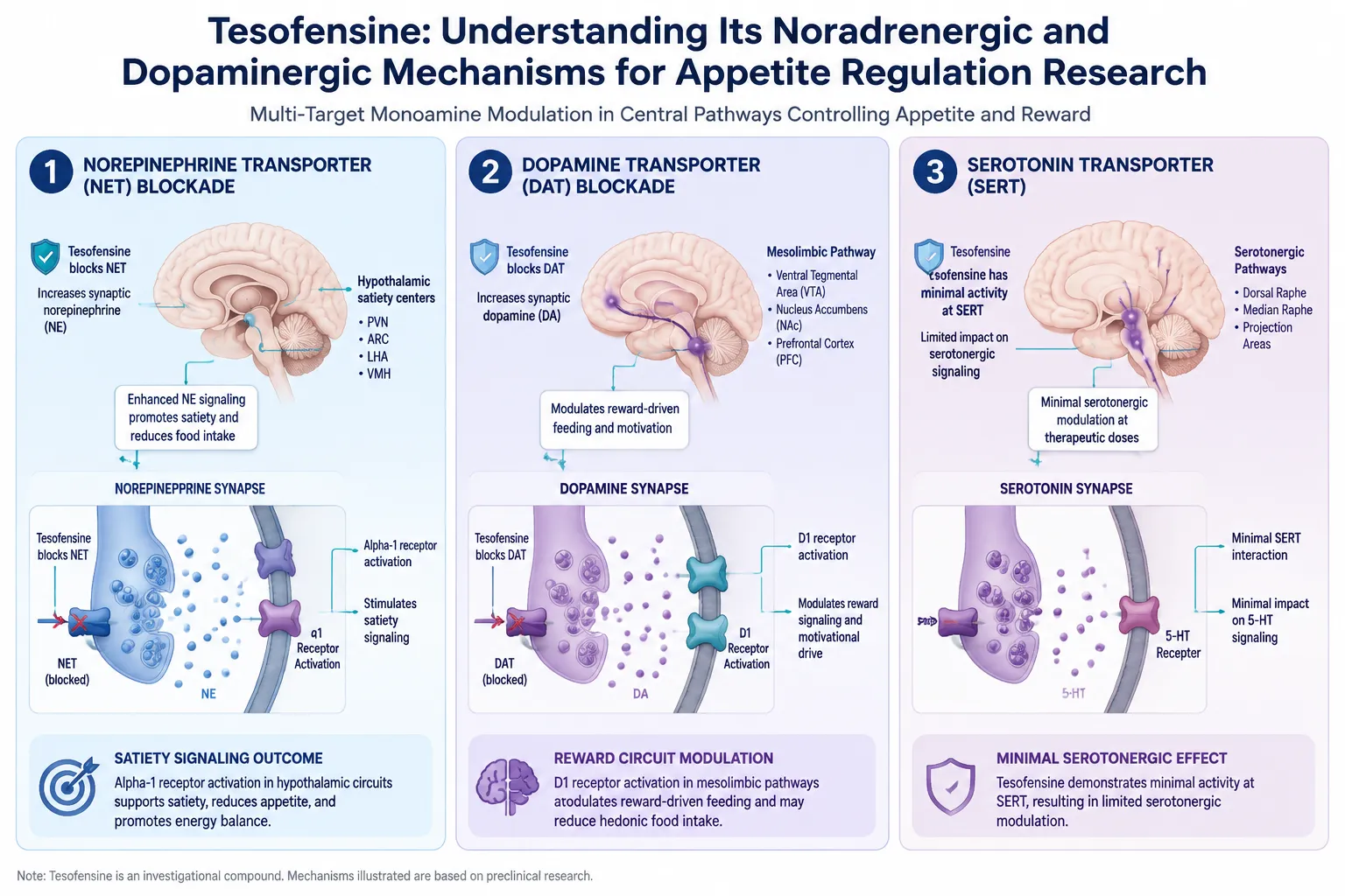 The Triple Reuptake Profile: Where Tesofensine Begins