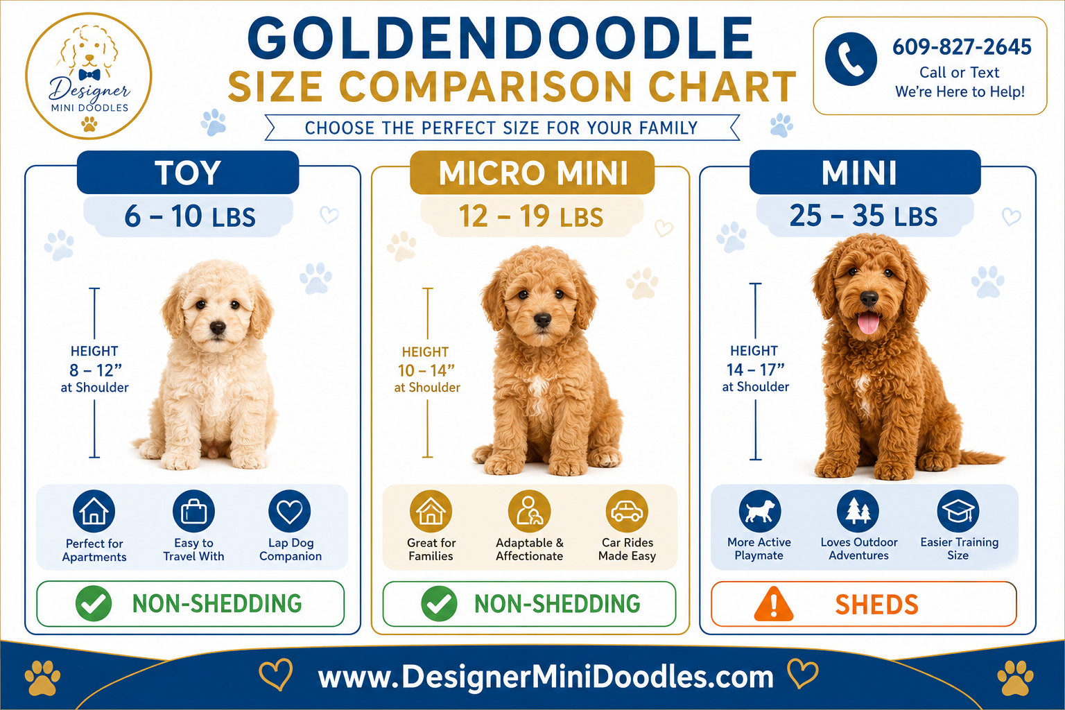 Golden doodle size comparison