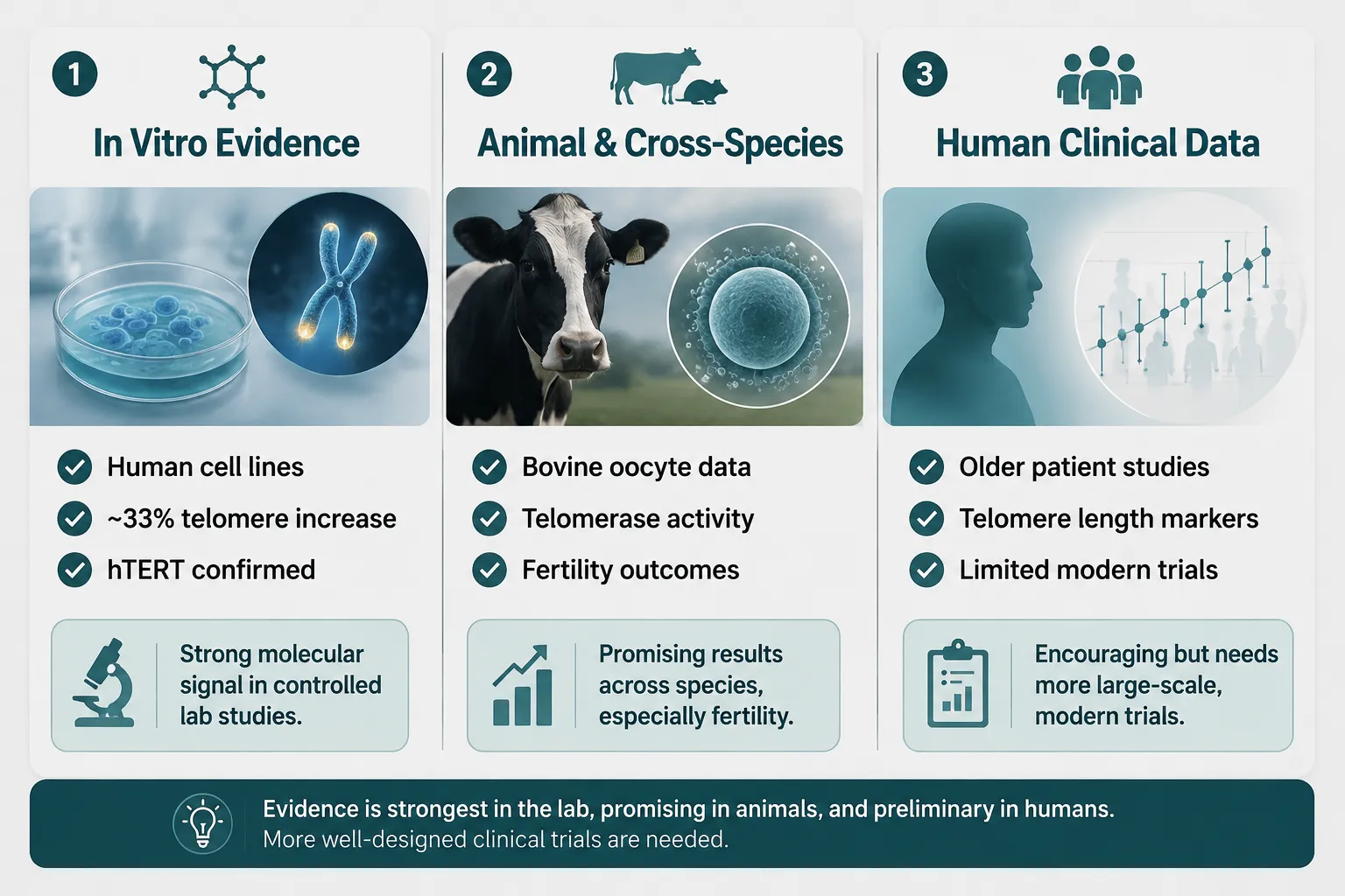 Cross-Species and Fertility-Related Findings