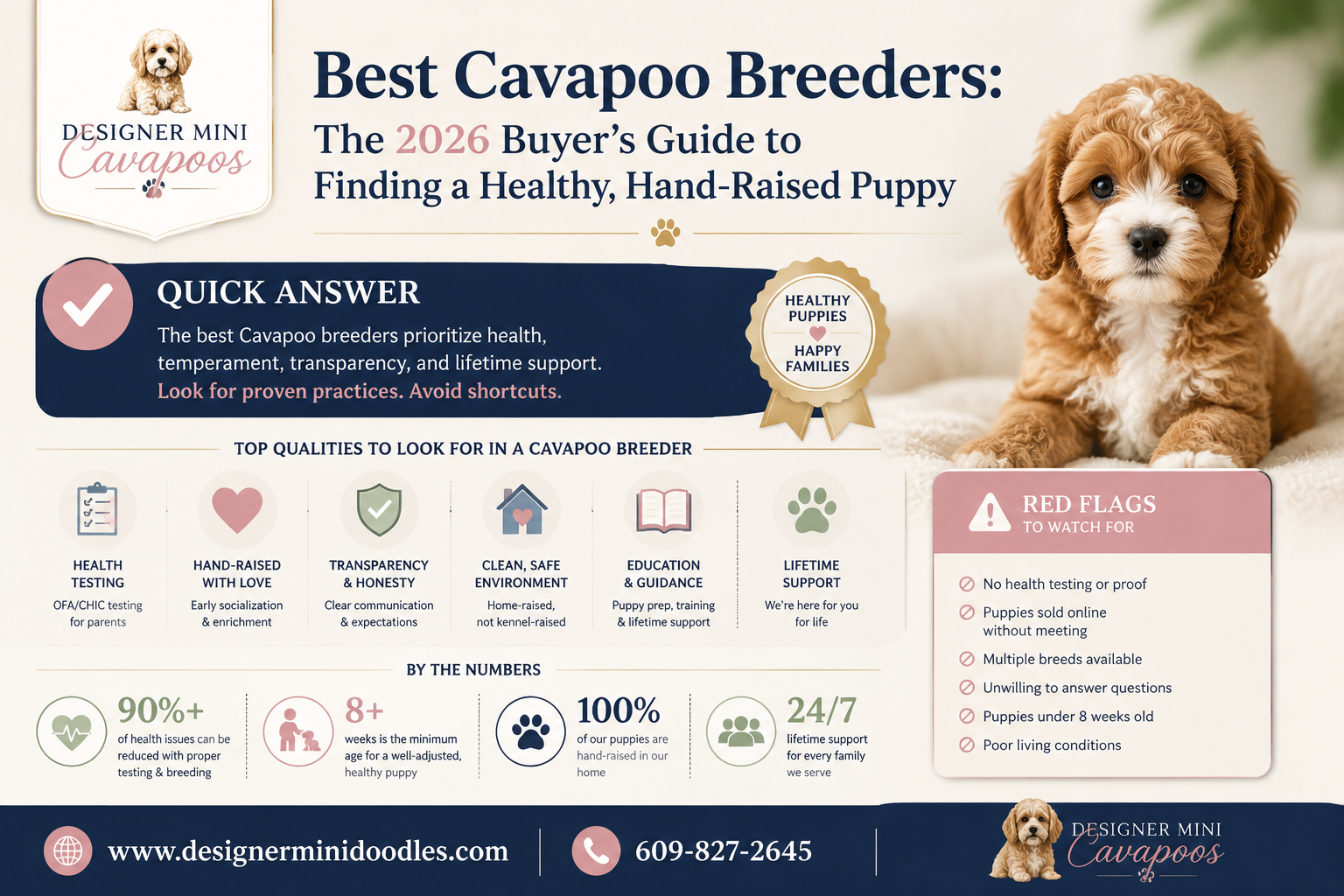 best Cavapoo breeders