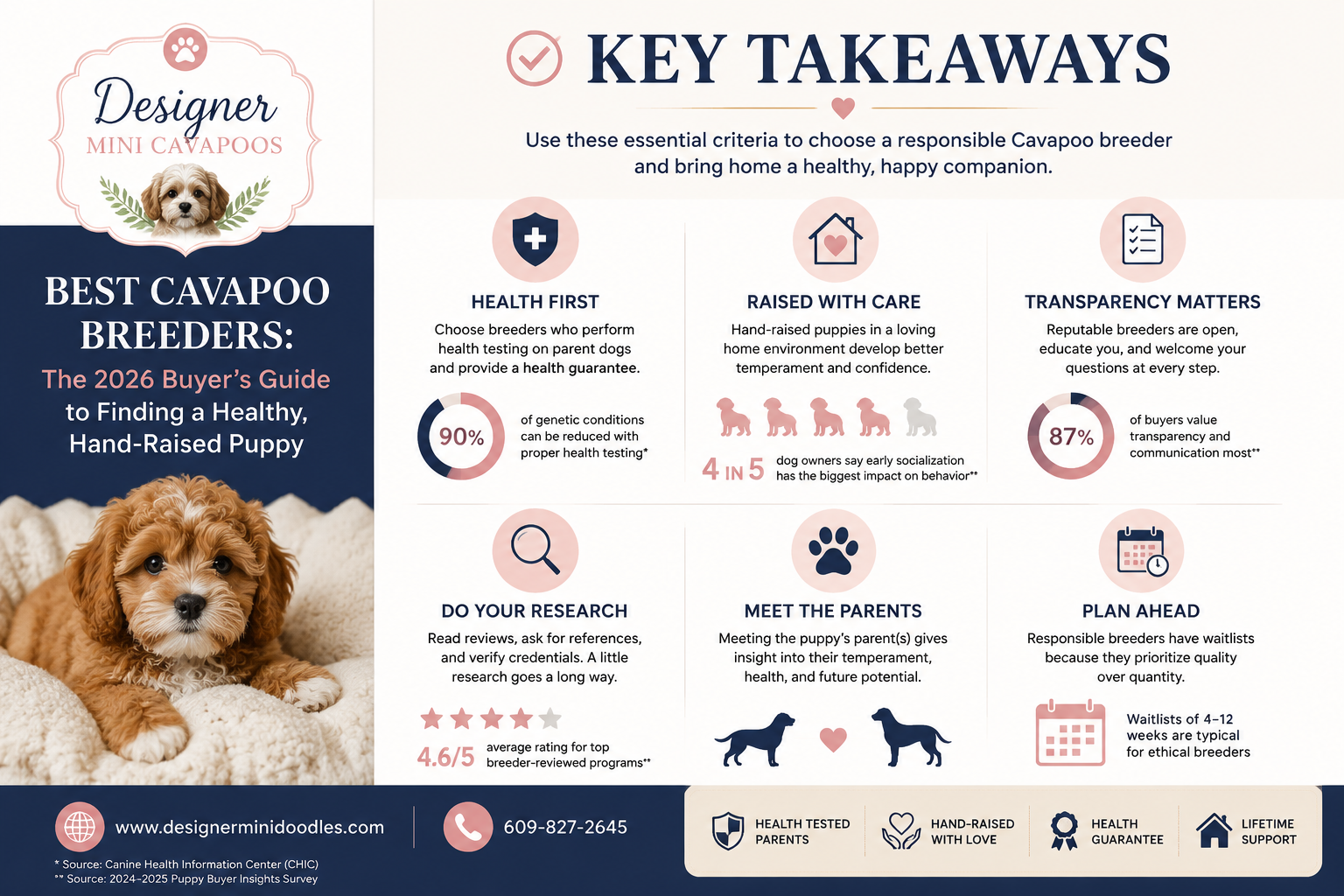 best Cavapoo breeders