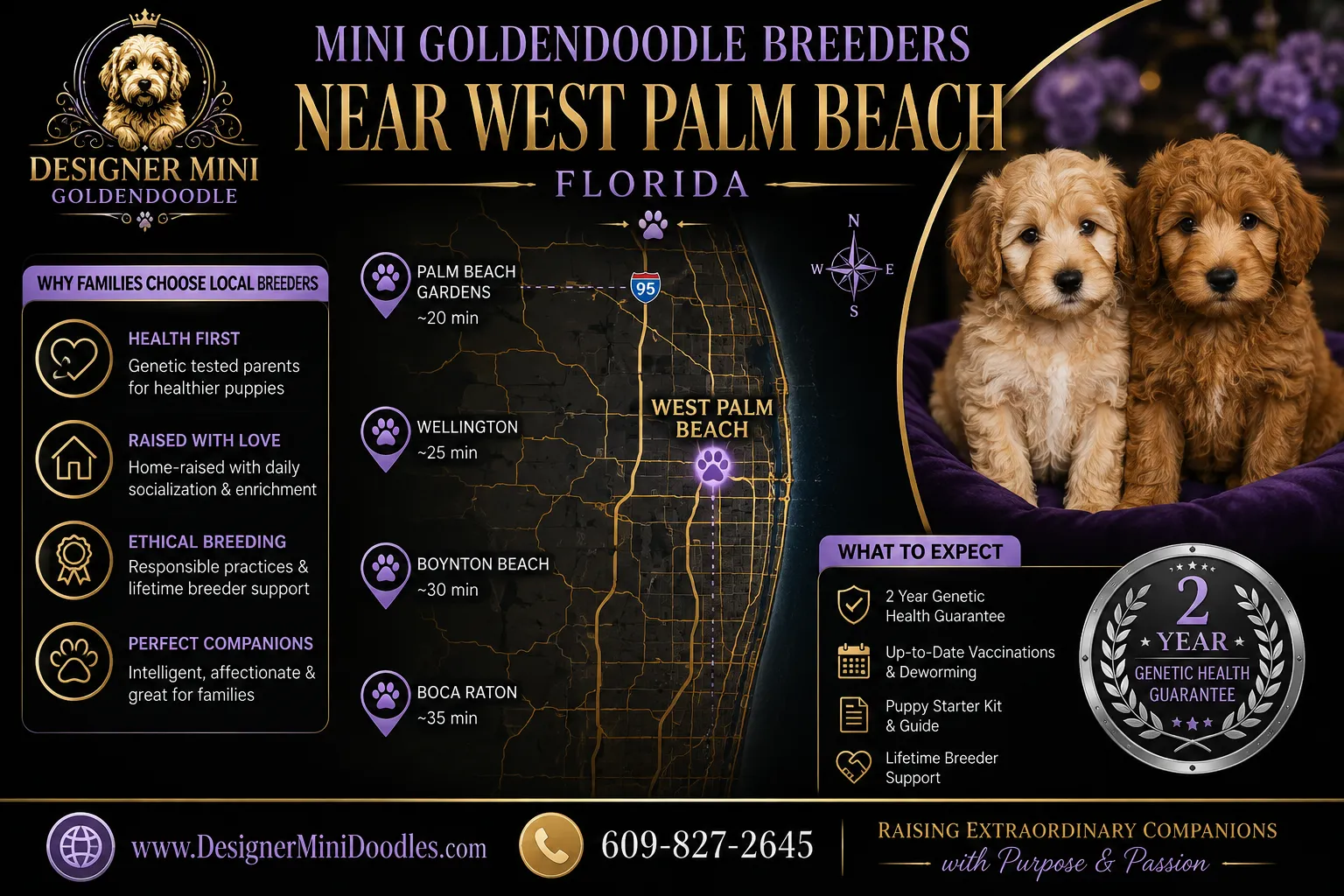 Mini Goldendoodle Grooming Requirements and Costs