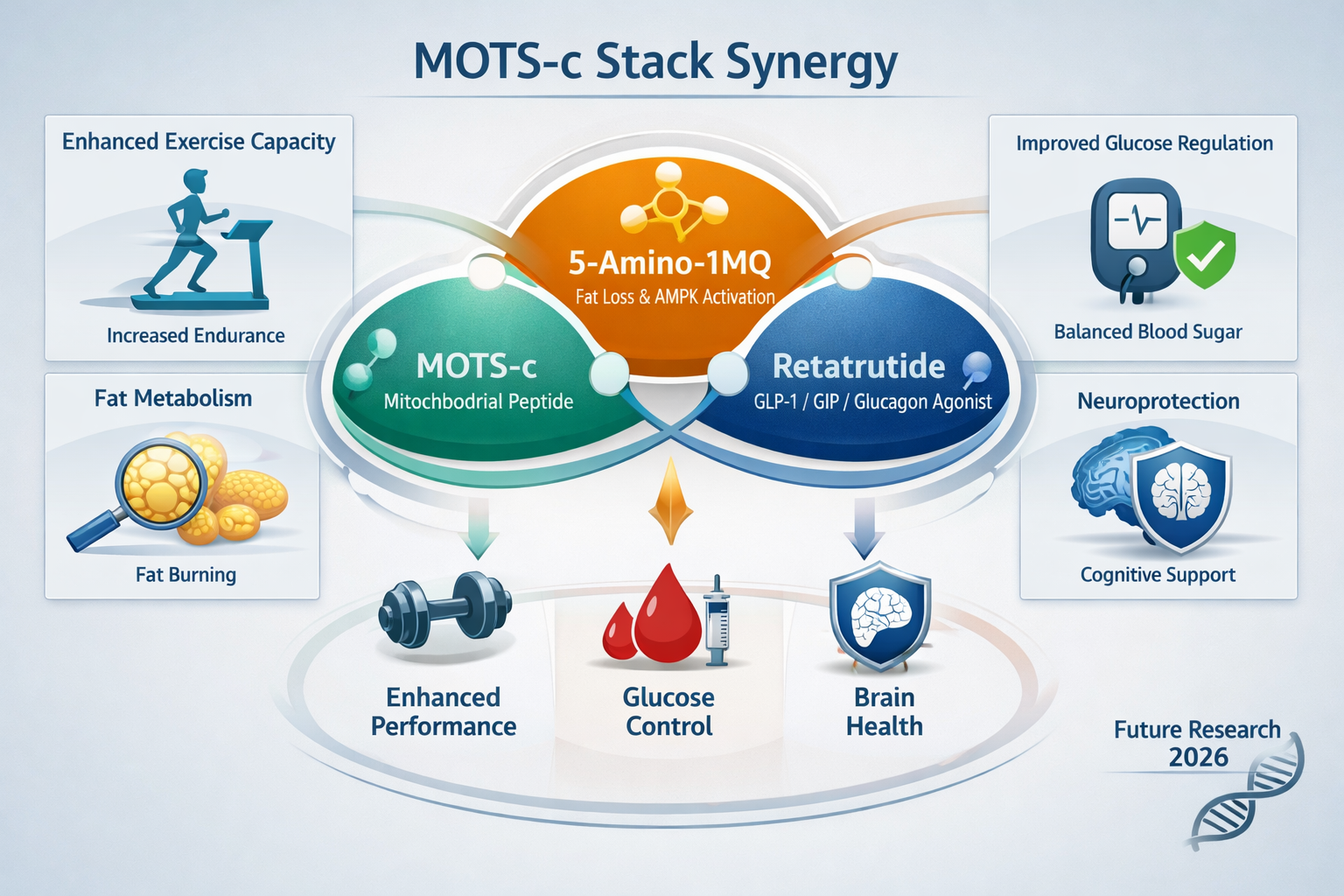 A sophisticated diagram illustrating various peptides commonly combined in a 'mots c stack', such as MOTS-c, 5-Amino-1MQ, and potentially re