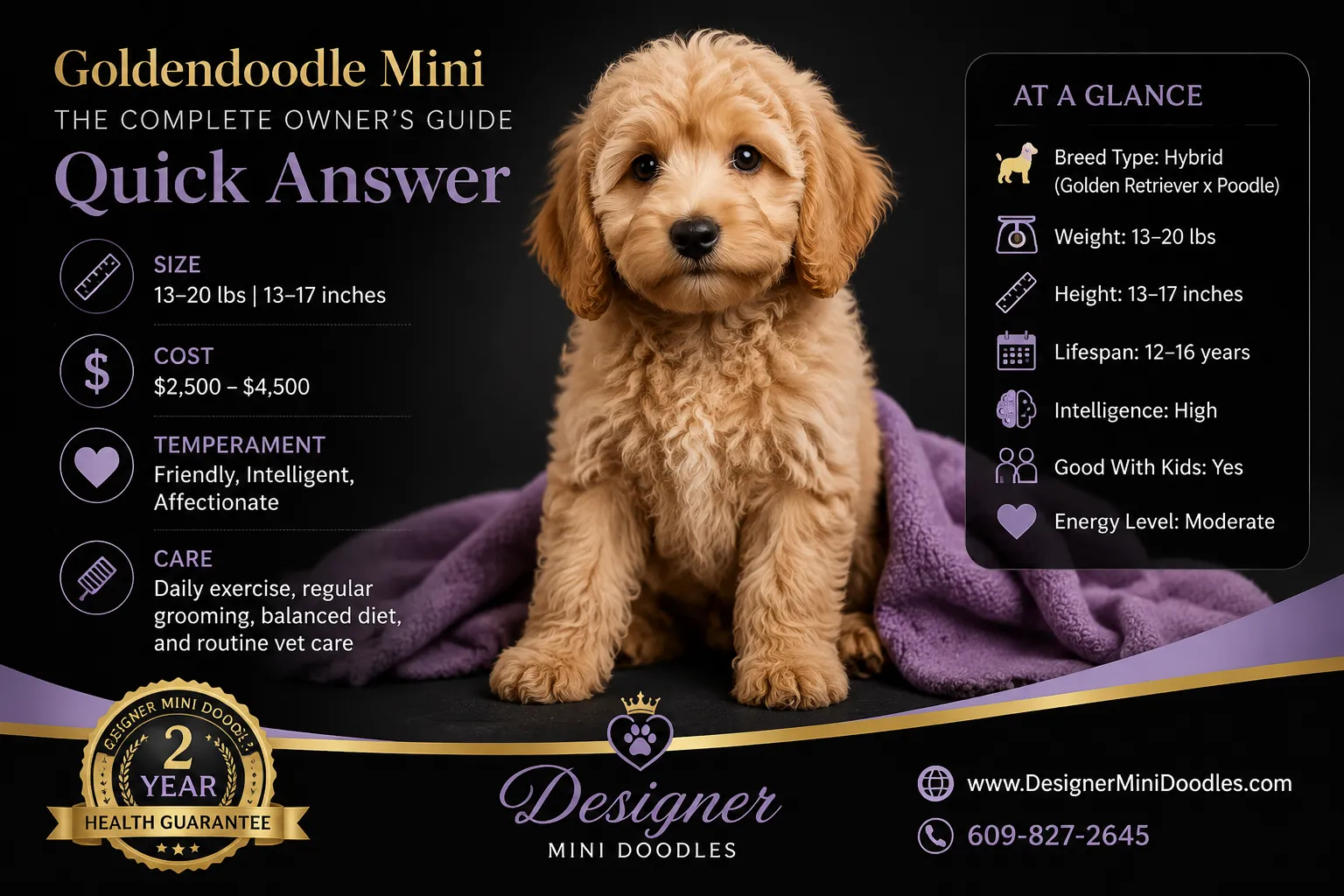 Goldendoodle Mini