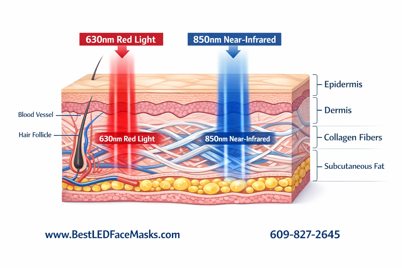 professional led face mask