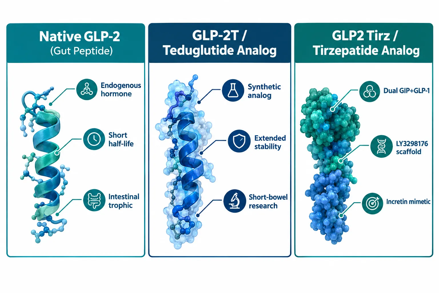 Understanding the Naming Confusion Around GLP2-T and GLP2 Tirz