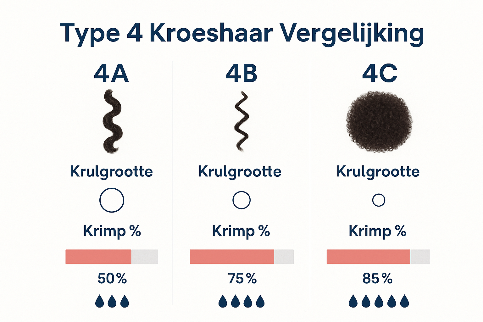 Wat Is Mijn Kroeshaar Type? Een Complete Gids voor Het Bepalen van Jouw Krulpatroon 2 Professional landscape comparison chart (1536x1024) for section "Type 4 Kroeshaar: Coily Haar in Detail". Type: Side-by-side Comparison. Whi