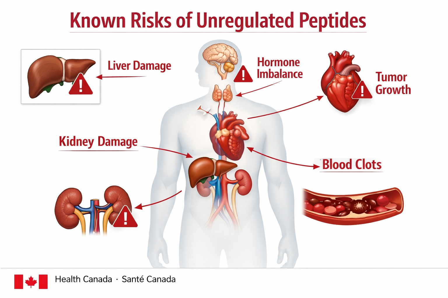 Detailed () infographic-style image showing a human body silhouette with red warning icons pointing to different organs —