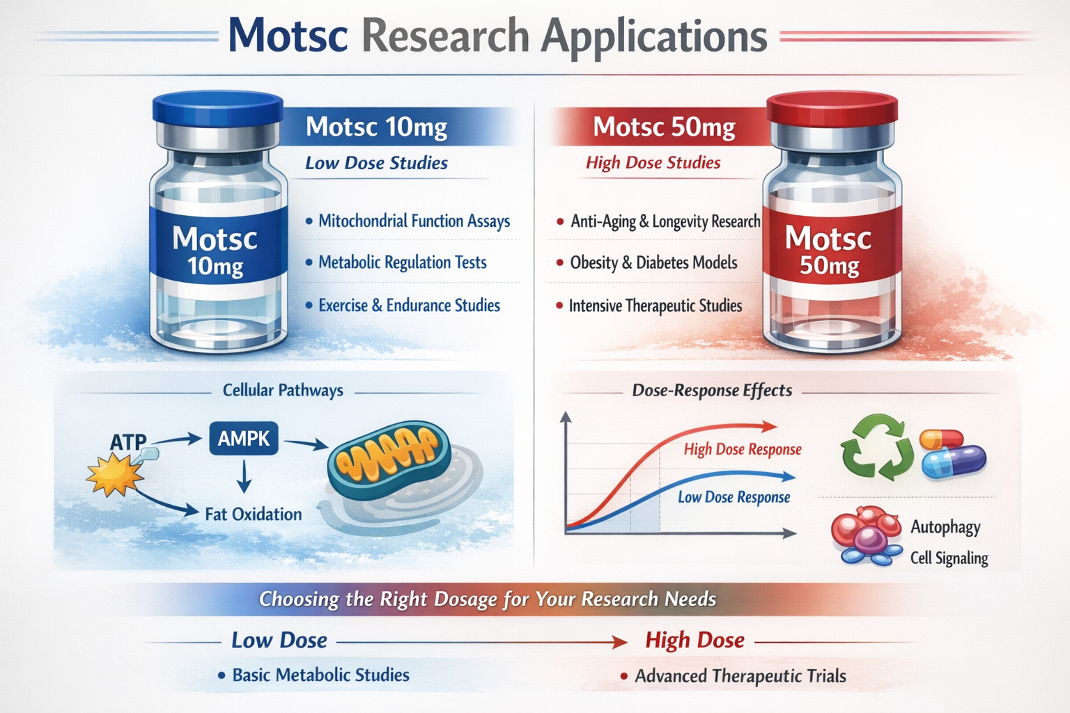 An infographic comparing the distinct properties and research applications of Motsc (mots-c) in 10mg and 50mg formulations. Display two styl