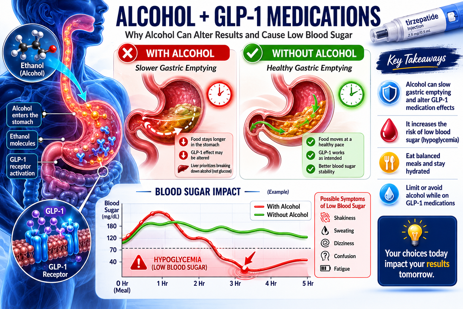 Detailed () editorial illustration showing a human digestive system silhouette in blue tones with alcohol molecules (ethanol
