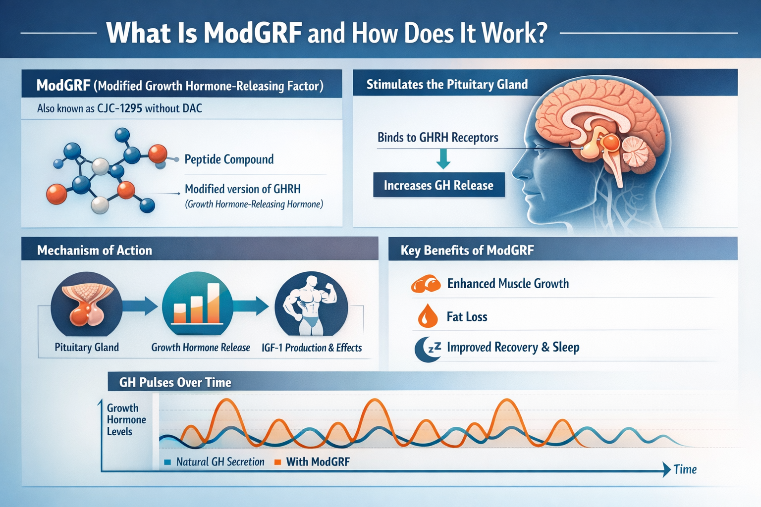 Professional landscape infographic (1536x1024) for article "ModGRF: The Complete Guide to Modified Growth Hormone-Releasing Factor for 2026"