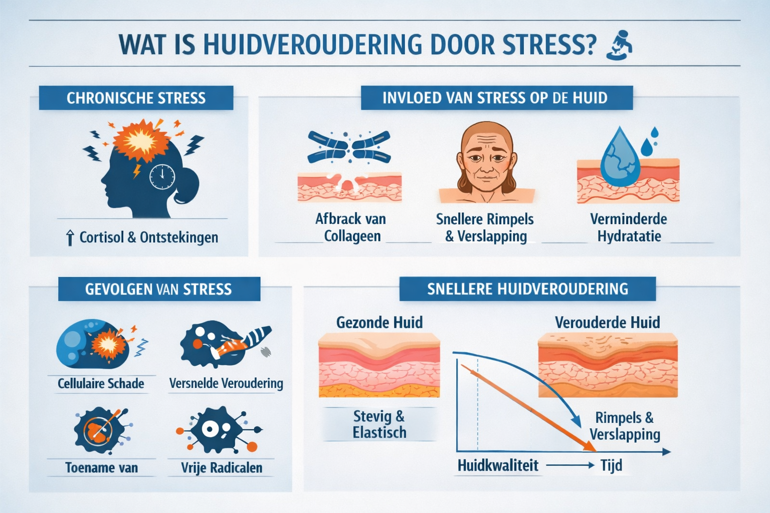 Professional landscape infographic (1536x1024) for article "Huidveroudering Door Stress: Zo Bescherm Je Je Huid Van Binnenuit", section: "Wa