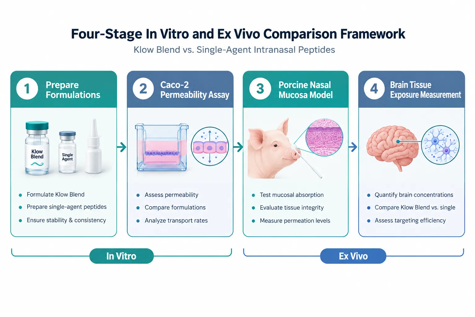 Deposition and Mucosal Residence Time in Multi-Peptide Formulations