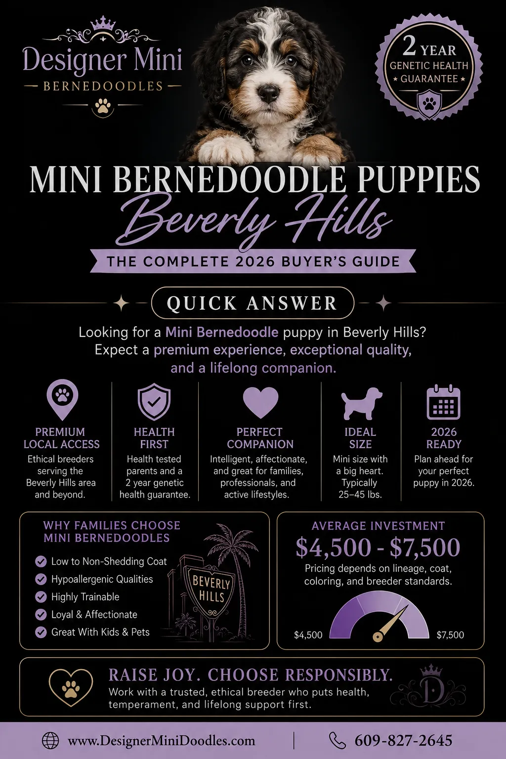 Mini Bernedoodle Puppies Beverly Hills