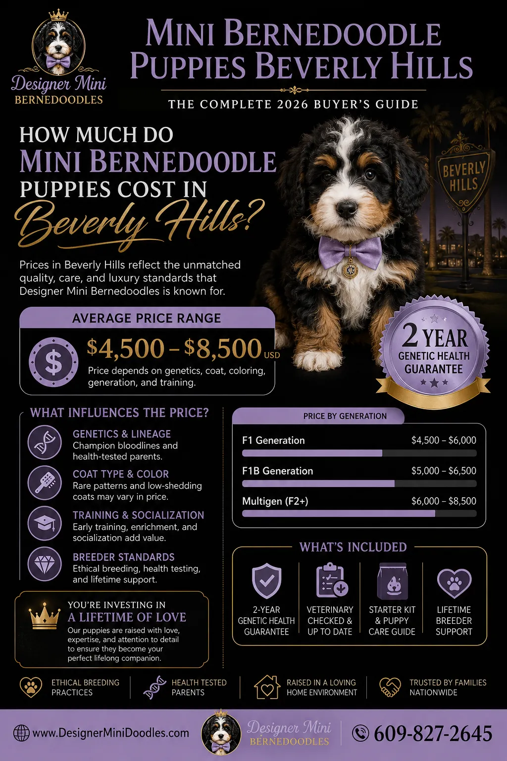mini bernedoodle breeder