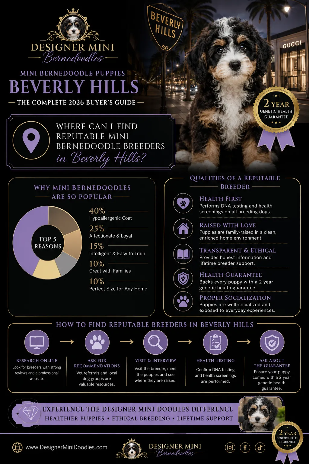 What health problems do mini bernedoodles commonly have?