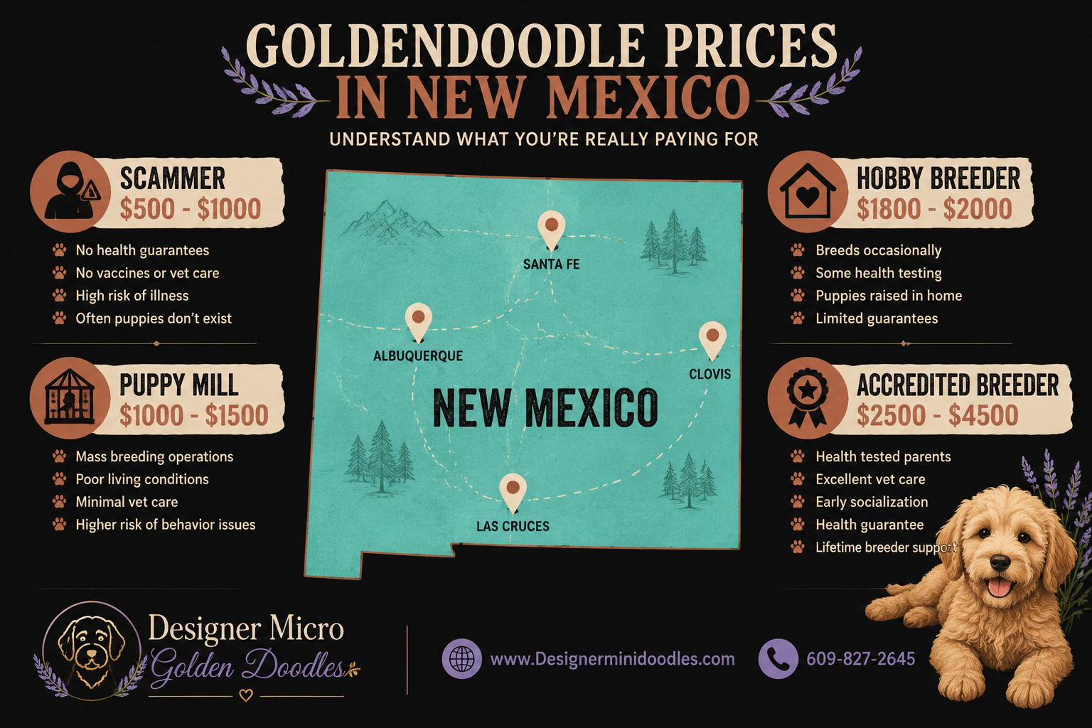 How Much Does a Micro Goldendoodle Cost in New Mexico?