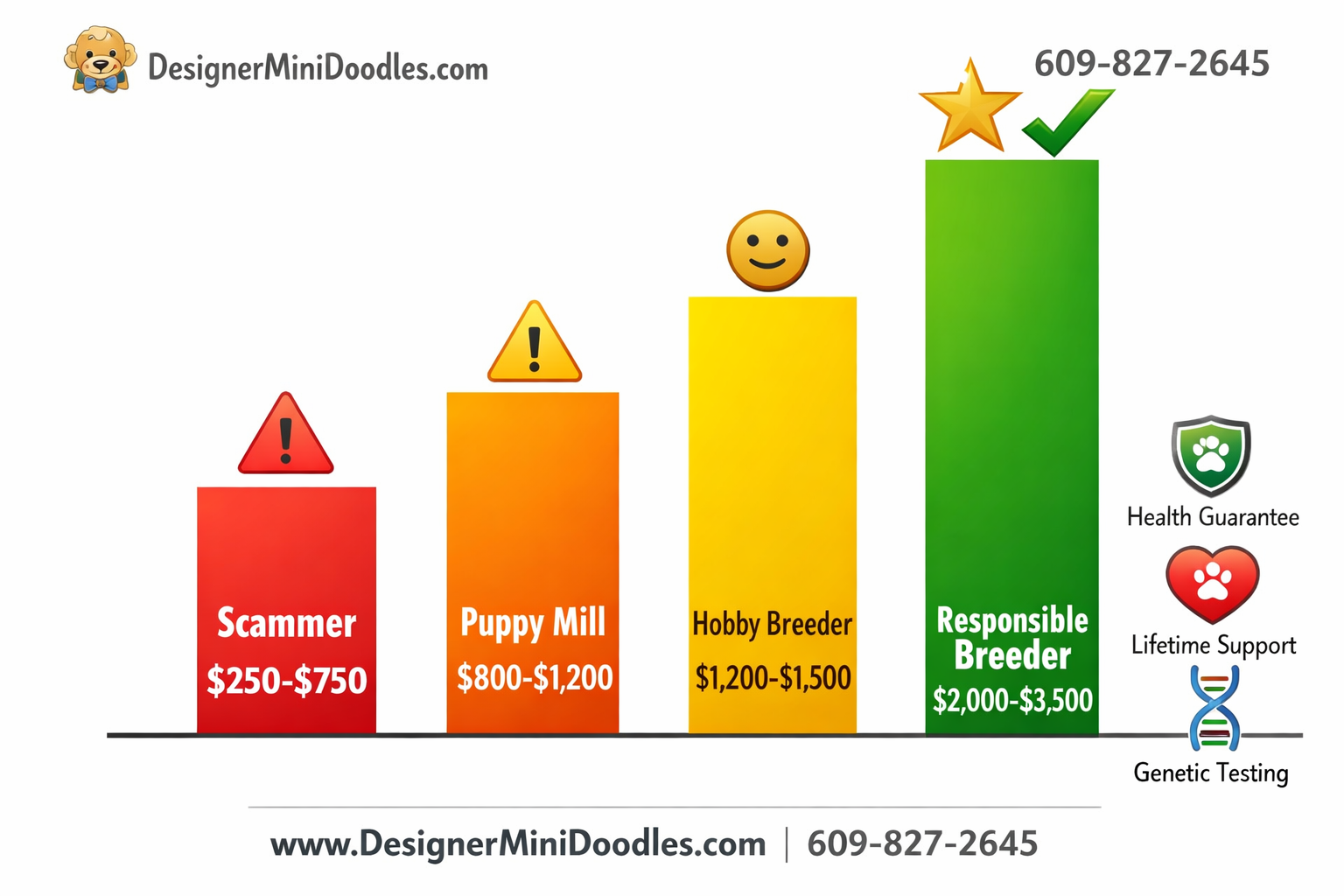 () creative price comparison bar graph infographic showing four vertical bars of increasing height and quality: leftmost bar