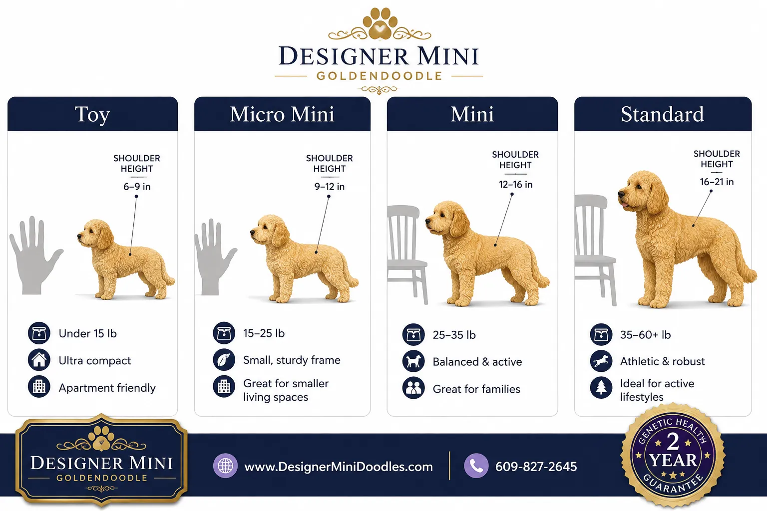 mini goldendoodle Brandon