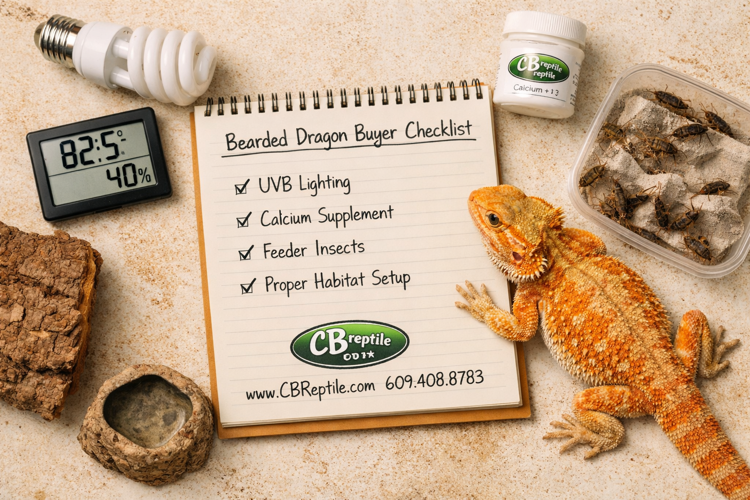 () flat-lay style overhead shot of a notebook with handwritten checklist titled 'Bearded Dragon Buyer Checklist', surrounded